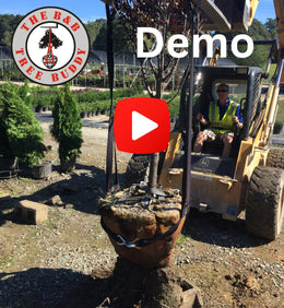 Product Demo
